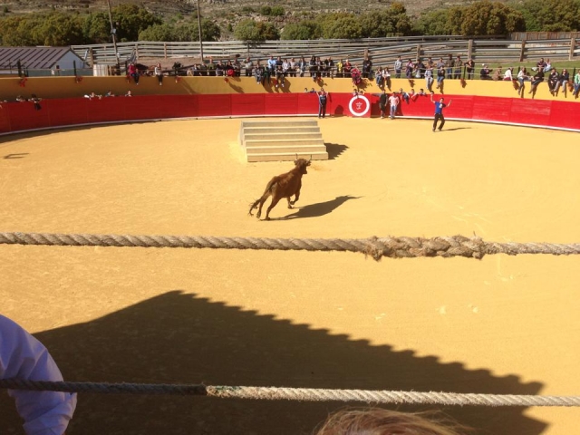 En pleno encierro